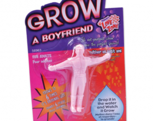 Grow a Boyfriend Novelty