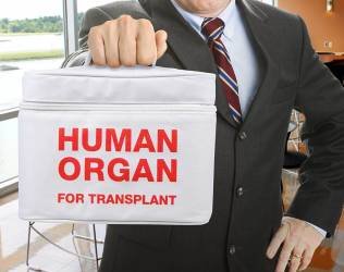 Organ Transport Tote Lunchbox